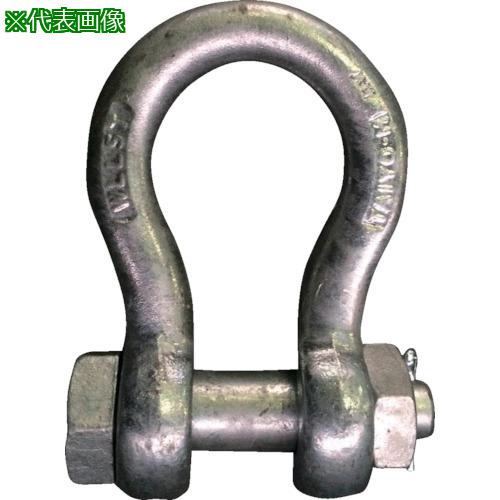 ■TAIYO JISシャックル M級 ドブ BB-22(1010527)〔品番:JBB22G〕【8199964:0】[店頭受取不可]