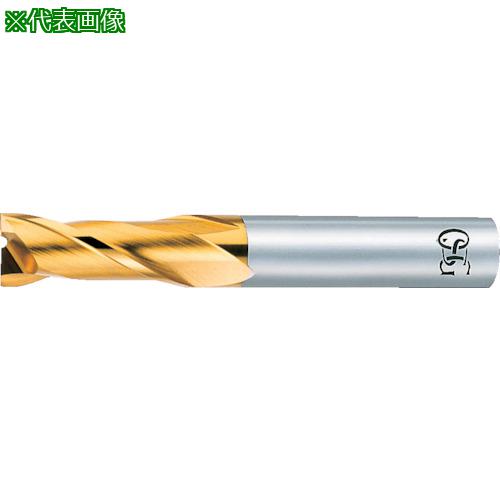 OSG ϥɥߥ TiN2ϥߥǥ 8403866:EXTINEDN8͡8226651:0[ӸѤ][ǳ][...