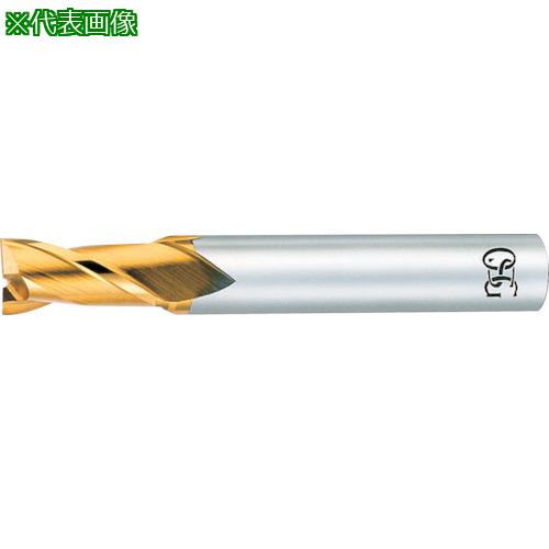 OSG ϥɥߥ TiN2ϥ硼 88088:EXTINEDS48X32͡8226715:0[ӸѤ][ǳ]...