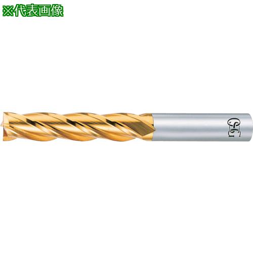 OSG ϥɥߥ TiN4ϥ 88350:EXTINEML40͡8226790:0[ӸѤ][ǳ][ŹƬ...