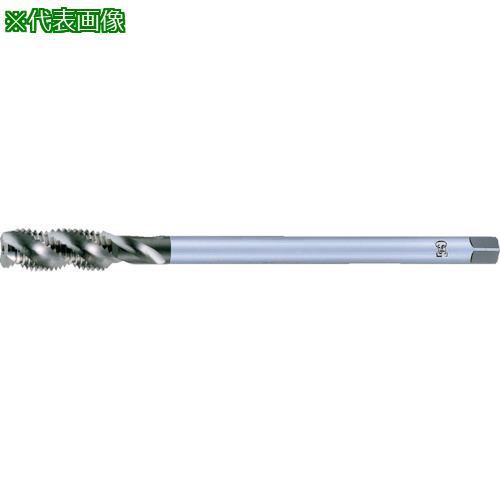 OSG ѥ륿å 󥵡Ȥͤѥ󥰥 8308034:HLLTSFT1BM10X1.5X150͡8227819:0[ӸѤ][ǳ][ŹƬԲ]