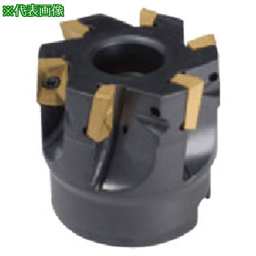 ■タンガロイ TACミル〔品番:TPS17160RB〕【8253978:0】[送料別途見積り][掲外取寄][店頭受取不可]