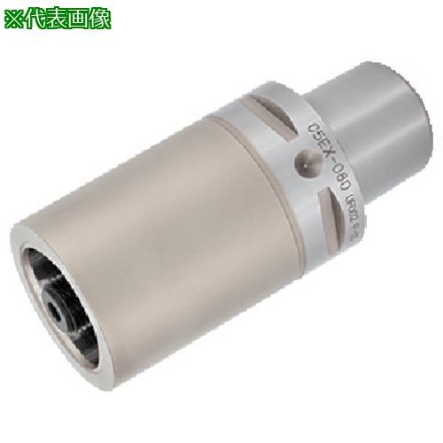 ■タンガロイ タング・キャップ エクステンションアダプタ C-EX〔品番:C8EX100〕【8255229:0】[送料別途見積り][掲外取寄][店頭受取不可]