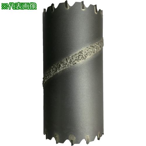 ■ハウスB.M ドラゴンリョーバコアドリル(ヘッドのみ) 55mm〔品番:DRH55〕【8257497:0】[送料別途見積り][掲外取寄][店頭受取不可]