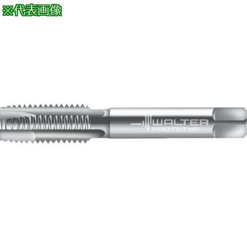 Prototyp 硼ȥޥ󥿥åס:20160M6͡8259470:0[ӸѤ][ǳ][ŹƬԲ]