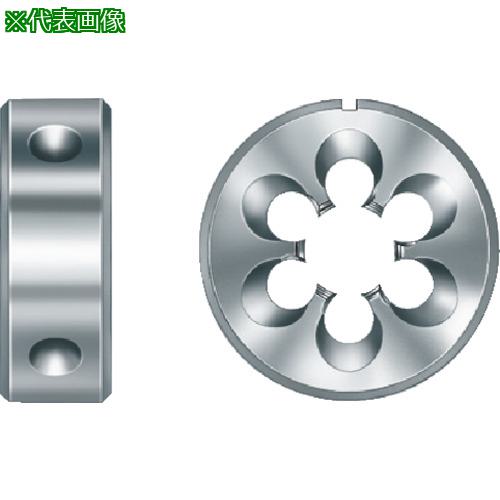 Prototyp :60003M6͡8259586:0[ӸѤ][ǳ][ŹƬԲ]