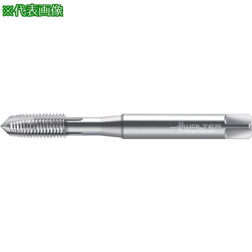 Prototyp ޥ󥿥åס:P21210M2.5X0.35͡8259686:0[ӸѤ][ǳ][ŹƬԲ]