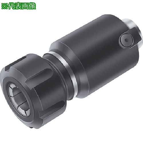 ■ワルター コンビネーションアダプター〔品番:AK300M.0.50.085.20〕【8260635:0】[送料別途見積り][掲外取寄][店頭受取不可]