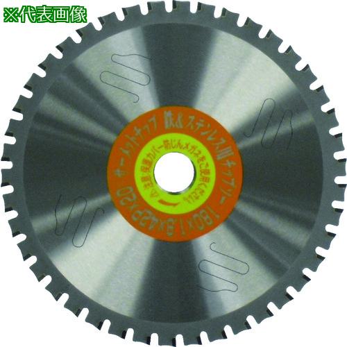 ■IWOOD サーメットチップソー Φ100〔品番:99342〕【8279045:0】[送料別途見積り][掲外取寄][店頭受取不..