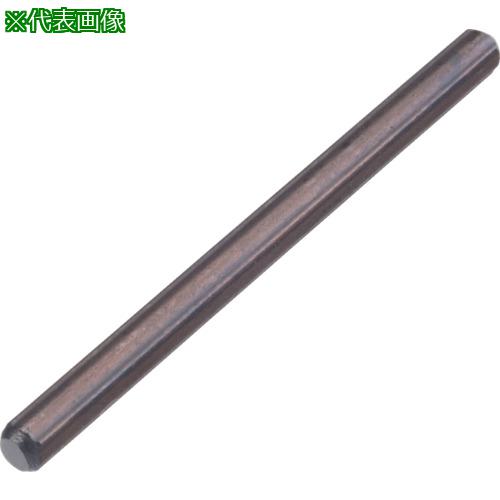 ■HAZET スタッドボルトエクストラクター用エキストラクターロッド〔品番:841019〕【8291766:0】[送料別途見積り][掲外取寄][店頭受取不可]