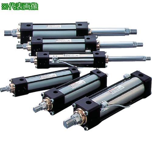 ■TAIYO 油圧シリンダ〔品番:100H22CB80BB100ABYK〕【8295378:0】[法人・事業所限定][外直送元][店頭受取不可]