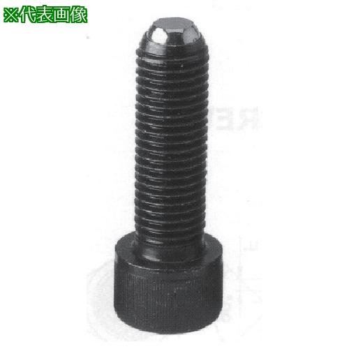 ■ニューストロング クランピング スクリュ-(BFタイプ) フラットタイプM16×39〔品番:CBF1640〕【8379389:0】[送料別途見積り][掲外取寄][店頭受取不可]