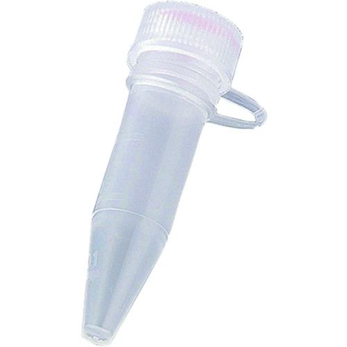 AS 塼åץ塼C-1.5L (50ܡ10=500):1295904͡8380043:0[ӸѤ][ǳ][ŹƬ...