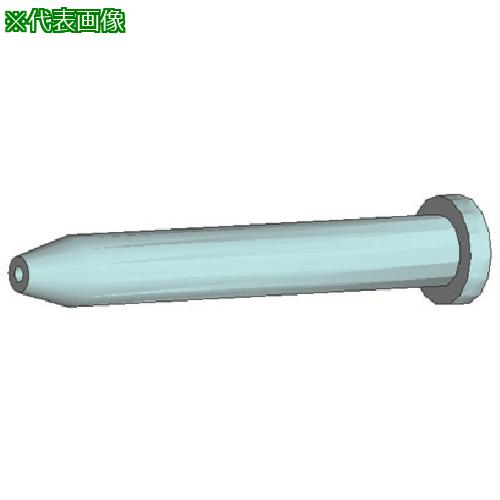  Υ 1.2MM:B2136͡8483031:0[ӸѤ][ǳ][ŹƬԲ]