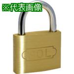 ■SOL ステンロック 30mm〔品番:2500S30〕【8490138:0】[送料別途見積り][掲外取寄][店頭受取不可]