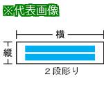 ■IM アクリル銘板(別作)2段彫り 縦40×横100mm×2t〔品番:T240B〕【8503709:0】[送料別途見積り][掲外取寄][店頭受取不可]
