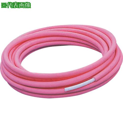 ܥߥå ݸղͶݥꥨ 20X50M-5MM֡:PEX20X50M5R͡8506991:0[ӸѤ][ǳ][ŹƬԲ]