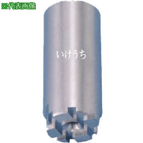  ѿΥ SSXP꡼ ƥ쥹303 ͥ1/2᥹ 100:12FSSXP20S303͡8507298:0[ӸѤ][ˡ͡Ƚ][ľ][ŹƬԲ]