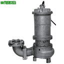 ■TERADA 防食形ステンレス水中ポンプ (SUS316) 2.2kw 全揚程8m 50Hz〔品番:CS6N022LE〕【8508453:0】[法人・事業所限...