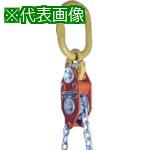 ■象印 チェーンエコライザー30ton〔品番:CE30000〕【8516263:0】[送料別途見積り][法人・事業所限定][..