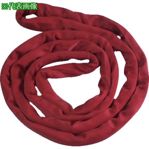 ■TESAC　ブルースリングソフトN形（エンドレスタイプ）5t用×5m[品番：TBSN5TX5M][TR-8519254][送料別途見積り][法人・事業所限定][掲外取寄]