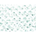 ■CAMO 【売切廃番】プロ レギュラーXウルトラライト スノウ 2....(4)