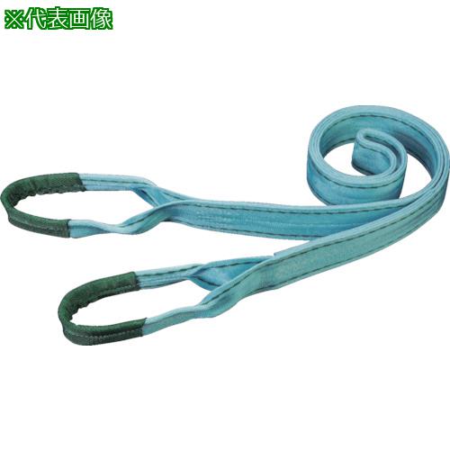 ■田村 ベルトスリング Pタイプ 3E 200×11.0〔品番:PE2001100〕【8576385:0】[法人・事業所限定][外直送元][店頭受取不可]