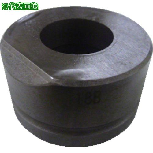 Ogura ݷ 20B:5380790͡8585795:0[ӸѤ][ˡ͡Ƚ][ľ][ŹƬԲ]