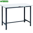 ■TRUSCO 軽荷重立作業台(300kg)HAE型 1200X600XH900 基本タイプ ダークグレー色〔品番:HAE1260DG〕【8688659:0】[...
