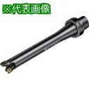 ■SANDVIK コロボアBR20 サイレントツール カッティングユニット(530)〔品番:BR20D150CC12FC8M〕【8689654:0】[送料別途見...