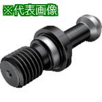 ■SANDVIK プルスタッドボルト(810)〔品番:PSB4060001〕【8690128:0】[送料別途見積り][掲外取寄][店頭受取不可]