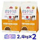 【即納在庫品】 【セット販売】森乳サンワールド おなかラボ 成犬用 2.4kg (×2セット) ドッグフード 乳酸菌