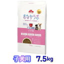 【即納在庫品】 森乳サンワールド おなかラボ 子犬用 7.5kg ドッグフード 乳酸菌