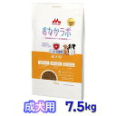 【即納在庫品】 森乳サンワールド おなかラボ 成犬用 7.5kg ドッグフード 乳酸菌
