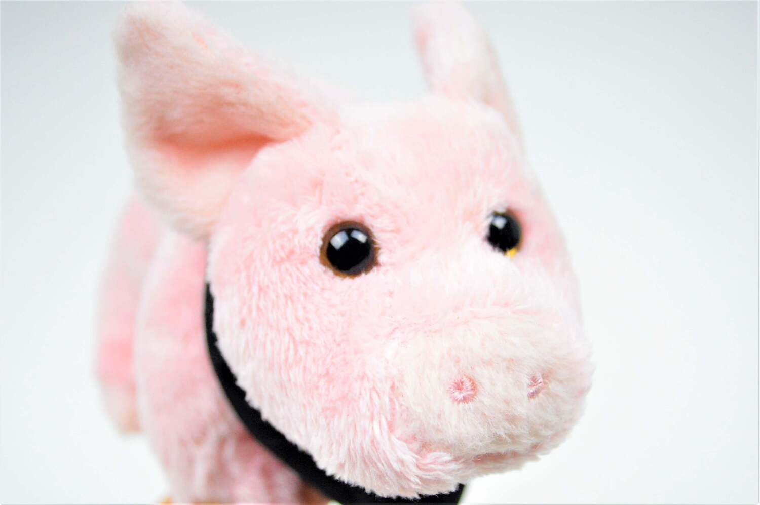 【ハーレー純正】 ハーレーダビッドソン ミュージアム限定のブタのぬいぐるみ 798563