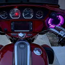 ハーレー Touring ProGLOW アッパーフェアリングスピーカー用ライト 【Custom Dynamics】2040-2879