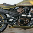 ハーレー Sportster S スイングアームピボットカバー 【Cult Werk】HD-SPS009