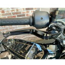 スポーツスターS、ナイトスター アジャスタブル ブレーキ、クラッチレバーセット チタンエンド 【probrake】HB2047-TI