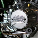 スポーツスター、1970〜1999 ビッグツイン ポイントカバー 横穴タイプ (サンドブラスト/ポリッシュ) INFINITY POINT-HOR-SP
