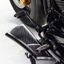 ソフテイル、ツーリング シフターペグセット (ブラック) ノイズ FSP-01-BK