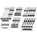 【Screws4Bikes】2017以前 ブレイクアウト、ロッカー/C エンジンボルトセット (マットブラック) 979806