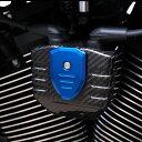 M8 ソフテイル ドライカーボンコイルカバー (綾織・艶消し) カラーアルマイトアルミプレート SPEEDRA