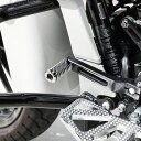 THRASHIN SUPPLY Speedway シフターペグ クローム TSC-2000-3