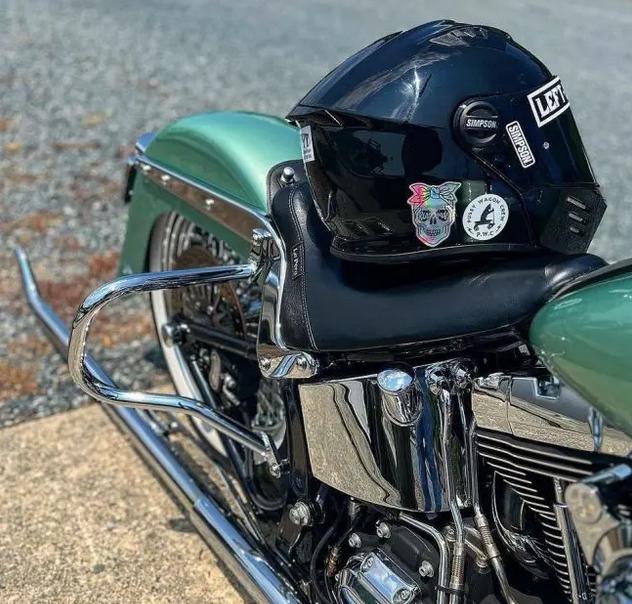 HOGWORKZ ソフテイル デラックス サドルバッグガード クローム FLSTN/SE