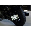 ナイトスター サイドナンバーキット (車検対応ナンバー灯付き) ノイズ