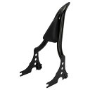 スポーツスター ハボック デタッチャブルシーシーバーバックレスト (ブラック) ホグワークズ