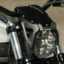 M8 ブレイクアウト GP ウィンドシールドキット (サテンブラックコントラスト) サンダーバイク(2)