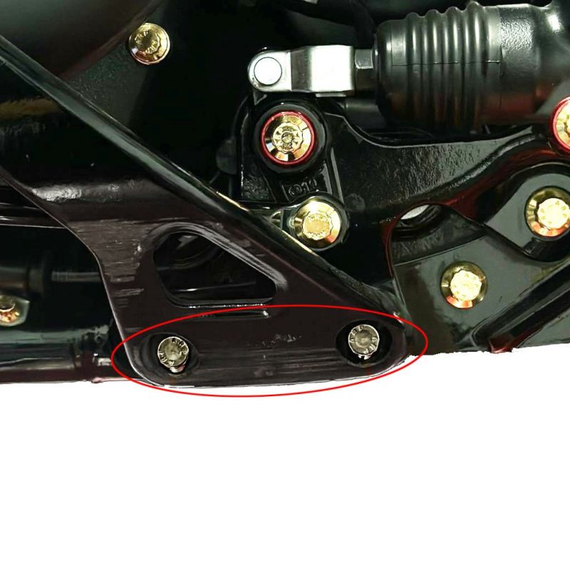 M8ソフテイル フットペグマウント ARPボルトキット ブラッククローム BAMCO MOTORSPORTS (バムコ モー..