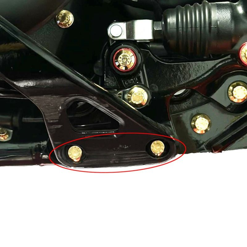 M8ソフテイル フットペグマウント ARPボルトキット ゴールド BAMCO MOTORSPORTS (バムコ モータースポ..