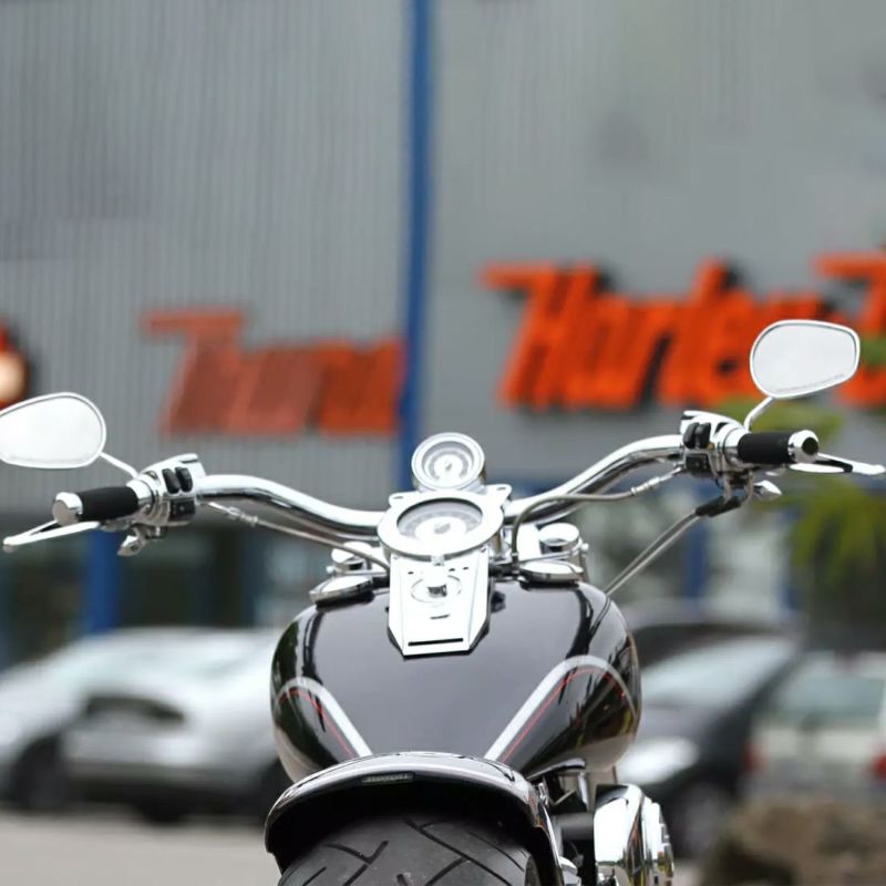 サンダーバイク ハリウッド ライト ハンドルバー (ロウスチール) 2025以降ソフテイル